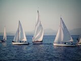DSCN1370