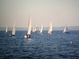 DSCN1371