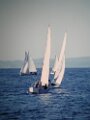 DSCN1374