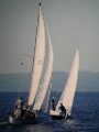 DSCN1376