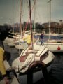 DSCN0604
